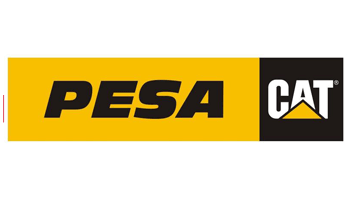 logo_pesacat